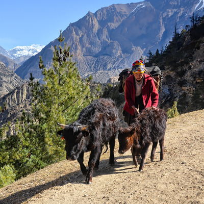 Himalayan Canyon Team