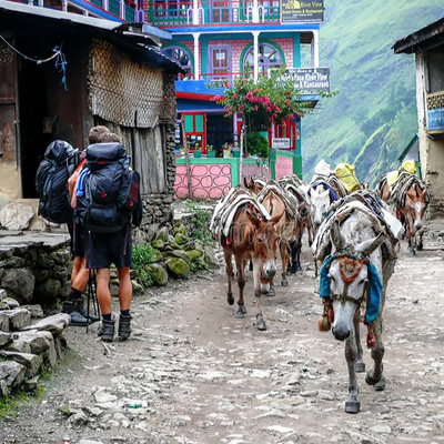 Himalayan Canyon Team