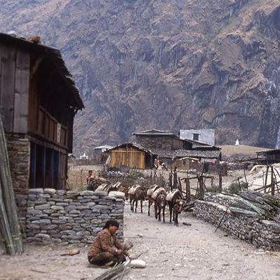 Himalayan Canyon Team